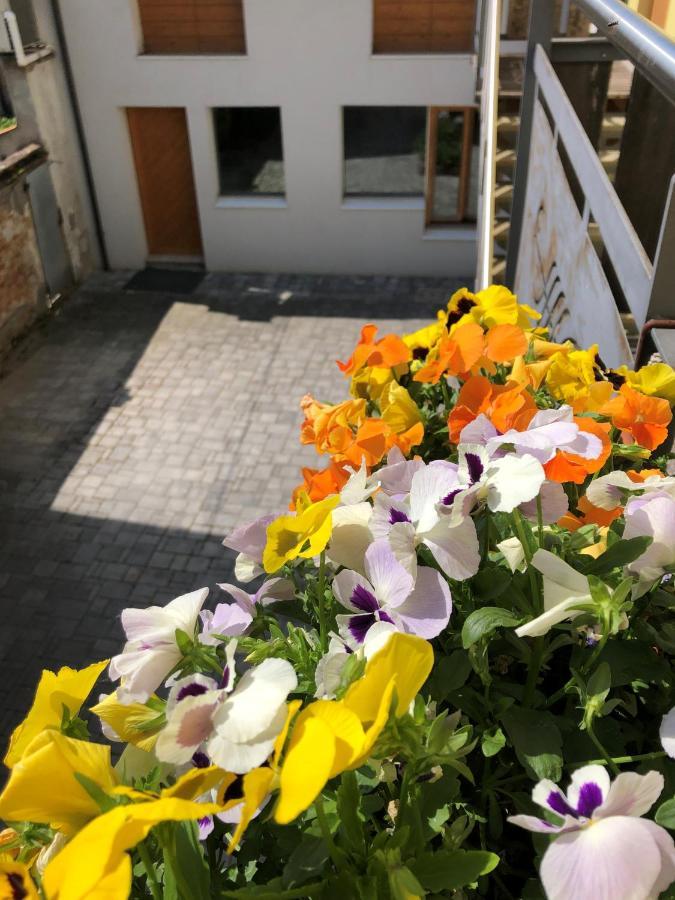 Appartamento Incantevole Con Parcheggio Privato Casteldidone Exteriör bild